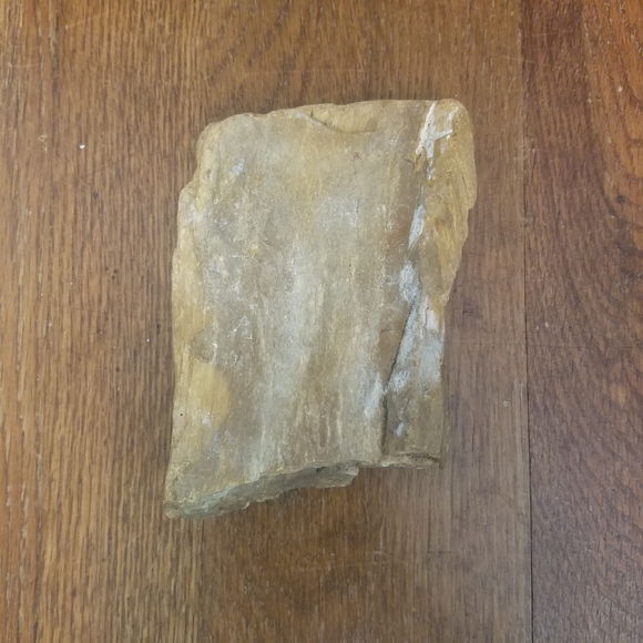 Petrified Wood Display Specimen Mitchell County Nc. 1lb 12oz. - Picture 4 of 10